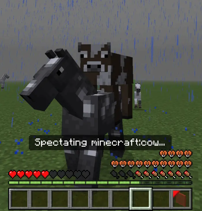 Spectator Plus Addon screenshot