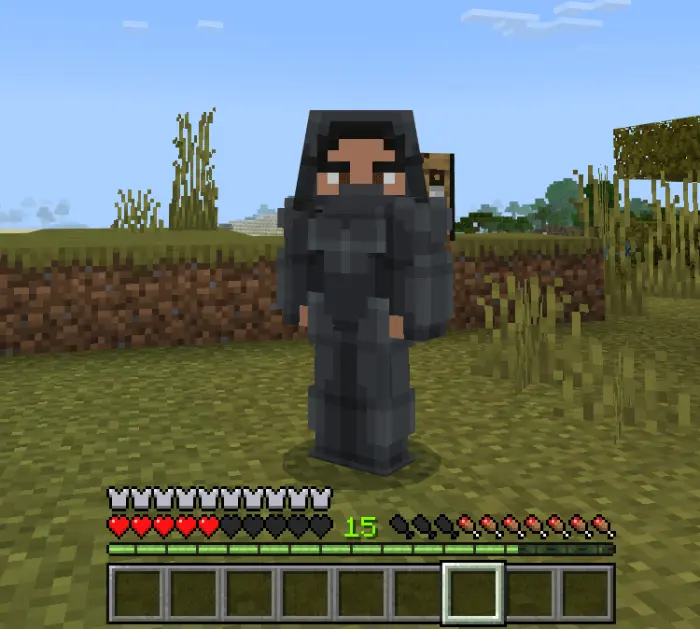 Assassin Set Mod/Addon screenshot