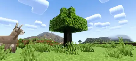 More Camera Perspectives Addon screenshot 6