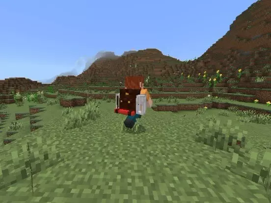 Backpack's Addon screenshot