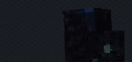 End Entity Addon screenshot