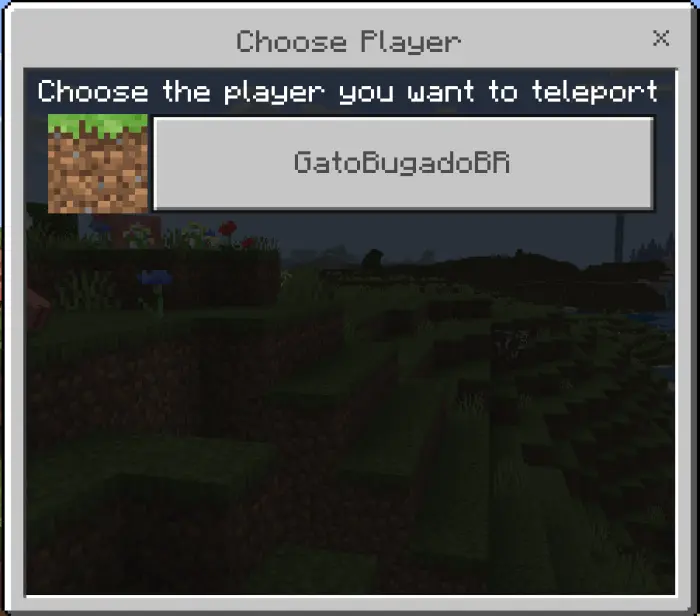 Teleport Potion Addon screenshot