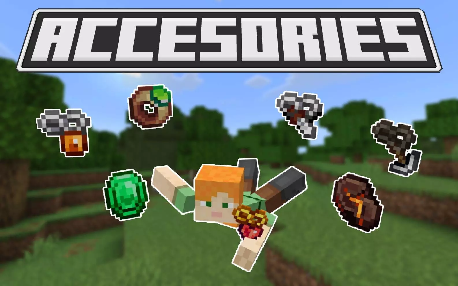 Accesories Addon thumbnail