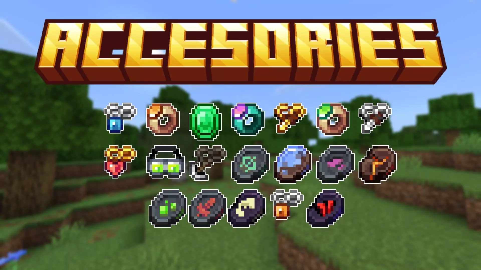 Accesories Addon screenshot