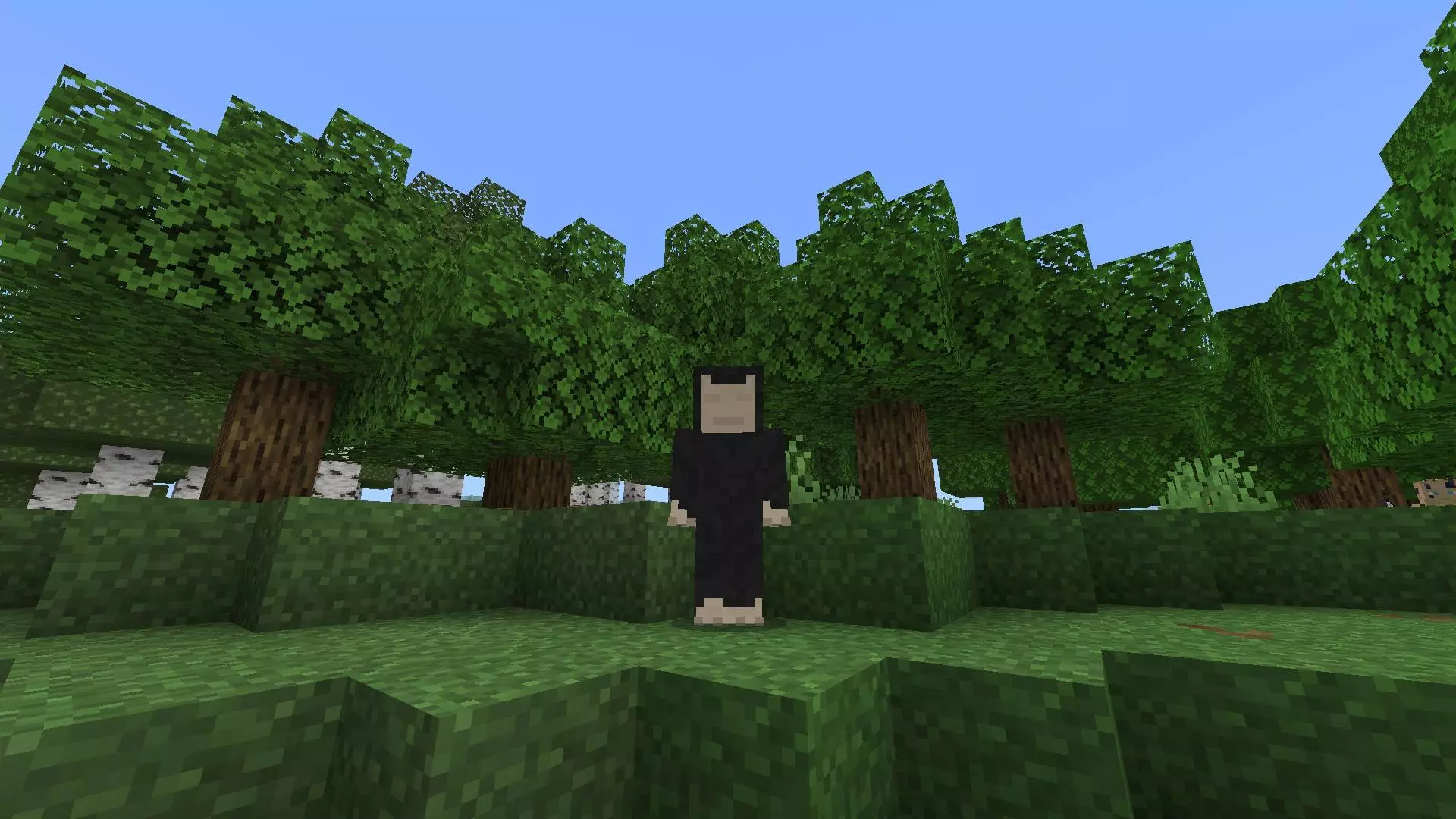 Faceless Addon screenshot