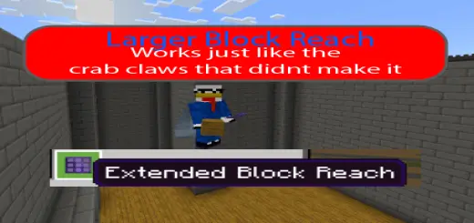 Block Reach Addon screenshot