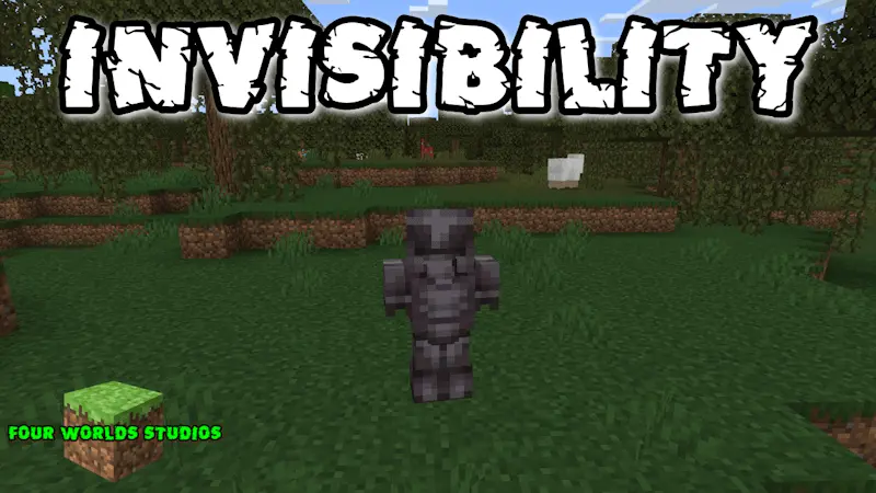 Invisibility FWS Addon screenshot