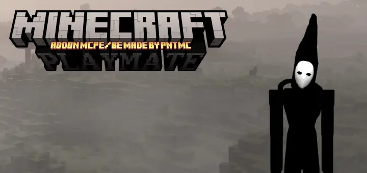 Playmate Addon thumbnail
