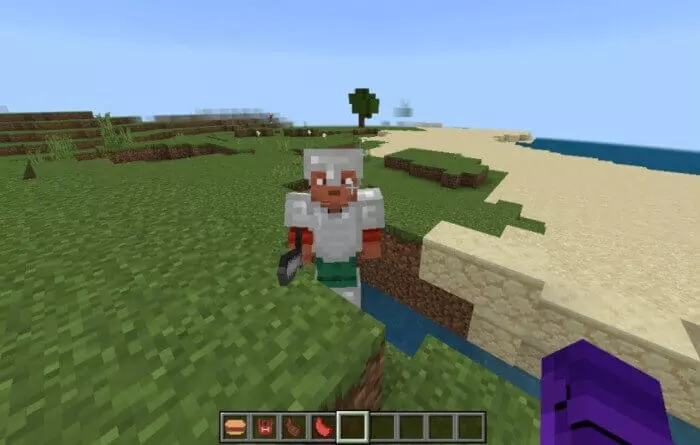 Players Meat Addon screenshot