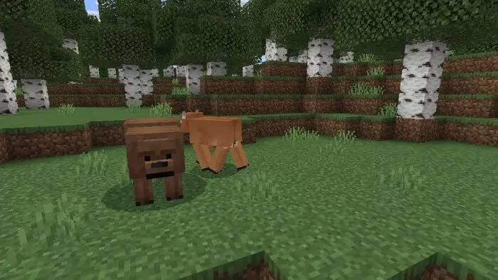 Survival+ Addon screenshot