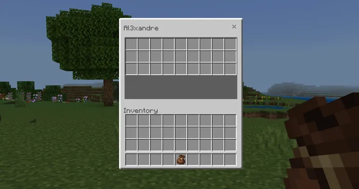 Mystic Bag Addon screenshot