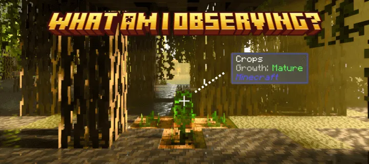What Am I Observing? Addon screenshot