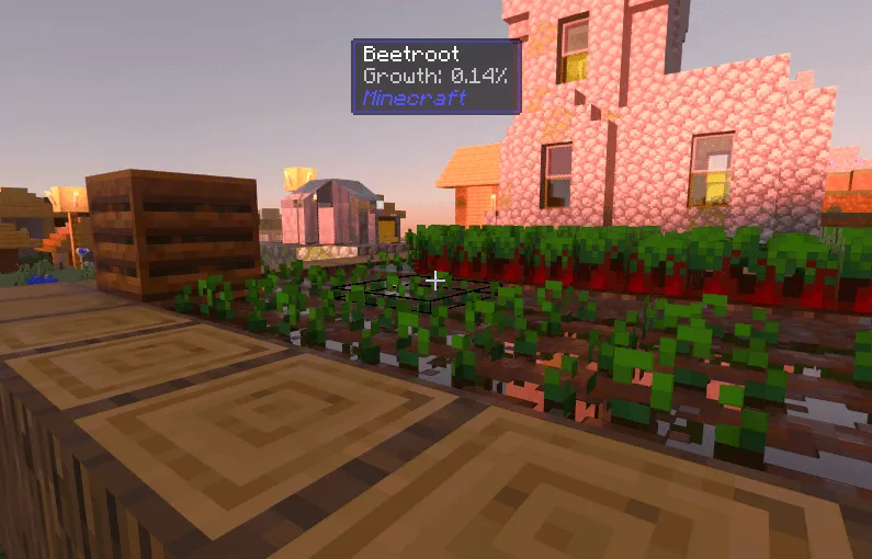 What Am I Observing? Addon screenshot