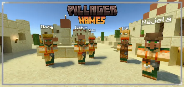 Villager Names Addon screenshot
