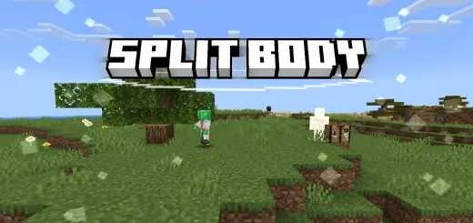 Split Body Addon screenshot