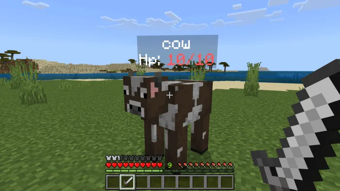 Entity Tag Addon screenshot
