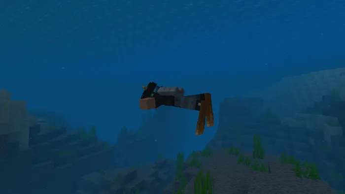 Swimwear And Night Vision Goggles Addon screenshot