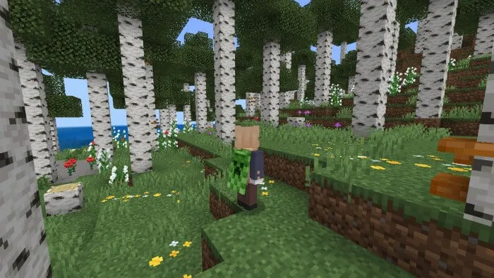 Other Bedrock: End and Forests Addon screenshot