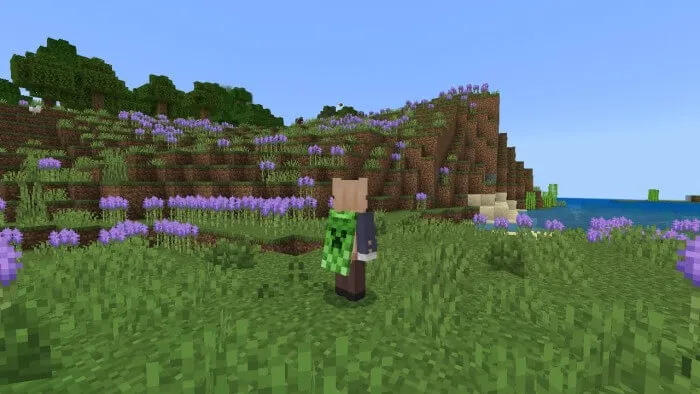 Other Bedrock: End and Forests Addon screenshot