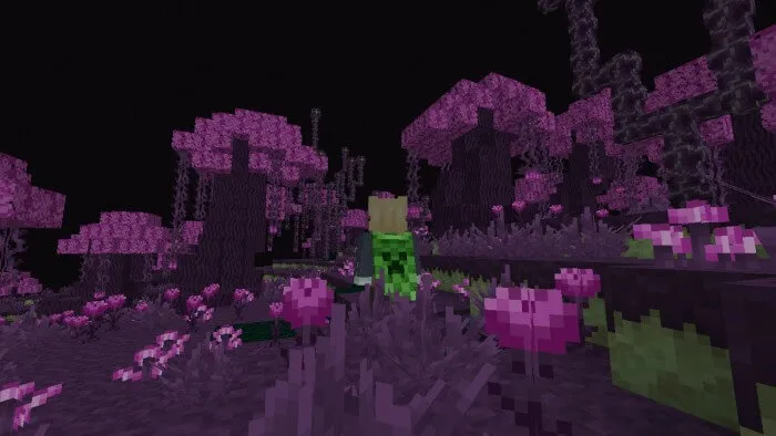 Other Bedrock: End and Forests Addon screenshot