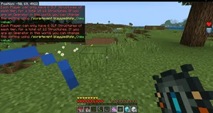 Save, Load & Protect Addon screenshot
