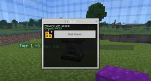 Save, Load & Protect Addon screenshot