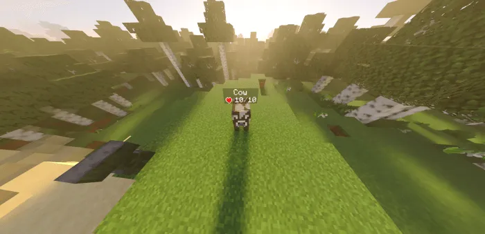 Health Display+ Addon screenshot