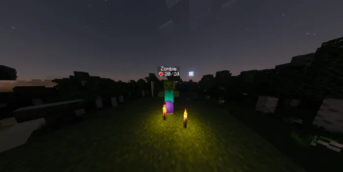 Health Display+ Addon screenshot