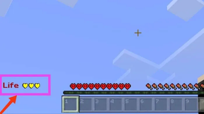 3 Life Hardcore Addon screenshot