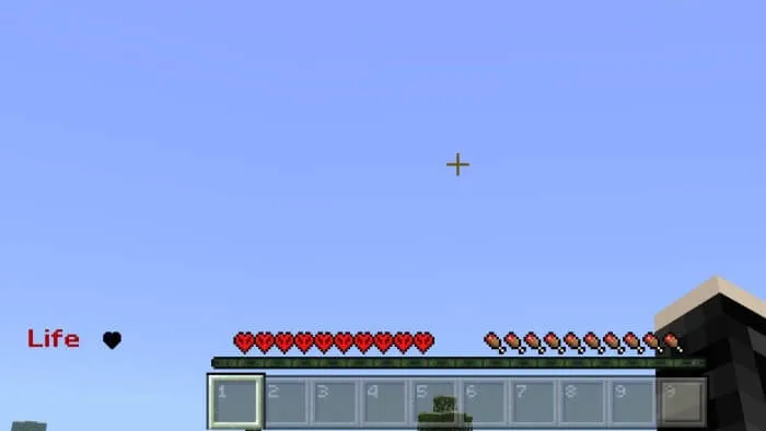 3 Life Hardcore Addon screenshot