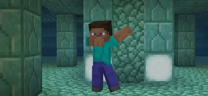More Steves Animations Addon screenshot