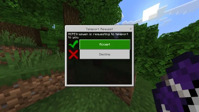 TPA: Teleport Addon screenshot