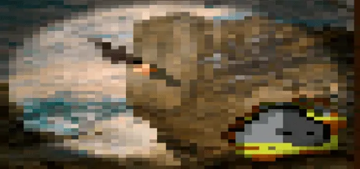 More Paintings Addon thumbnail