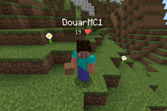 Display Player & Mob Health Addon screenshot