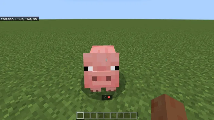 Display Player & Mob Health Addon screenshot