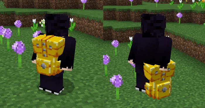 Basic BackPack Add-on screenshot