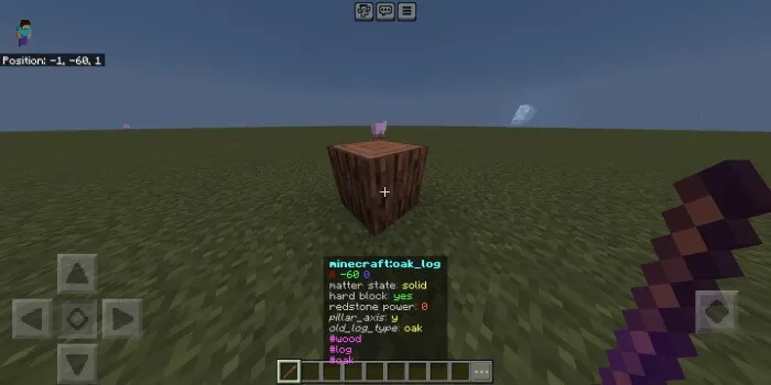 Debug Stick Addon pic 2
