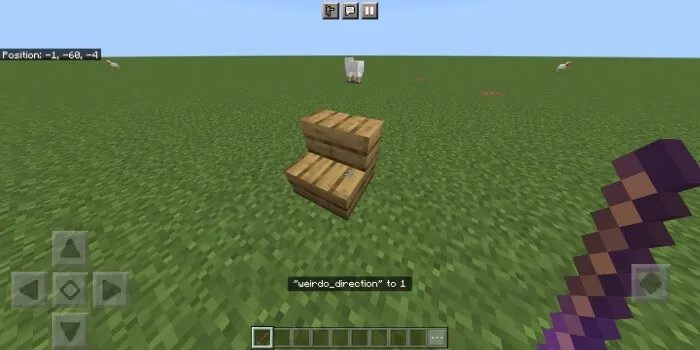 Debug Stick Addon pic 4