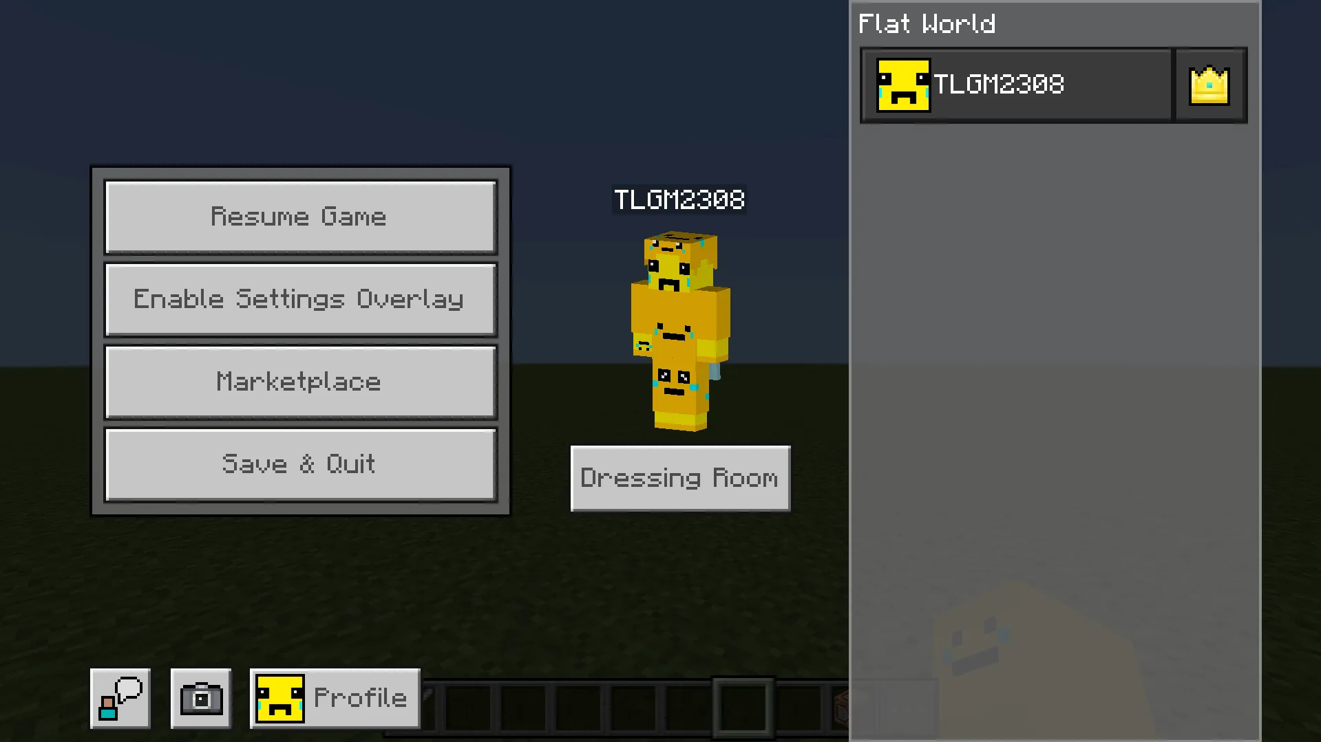 The Ty-el's Settings Overlay UI Pack Addon / Texture screenshot