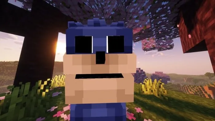 THE SONIC TAPES Addon screenshot