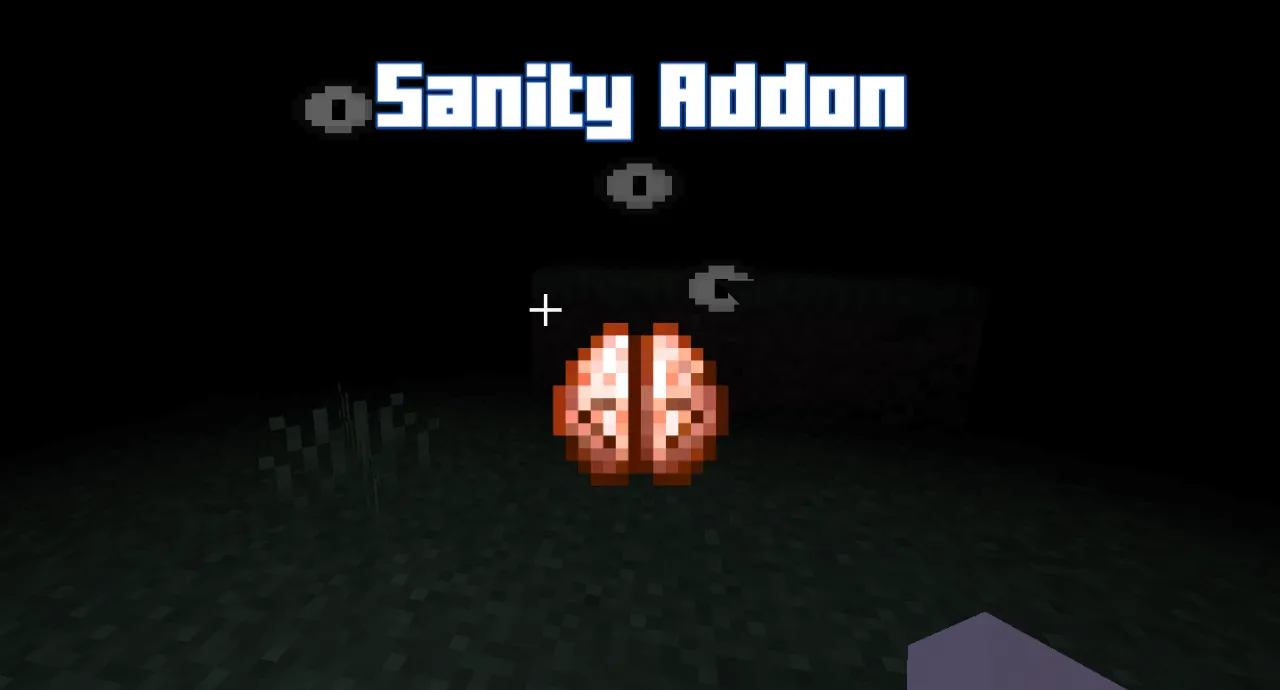 Sanity Addon thumbnail