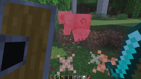 Shield Bash Mod / Addon pic 2