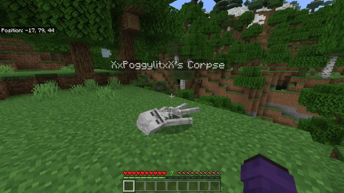 Player Corpse Addon screenshot