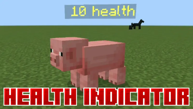 HEALTH INDICATOR Mod / Addon thumbnail