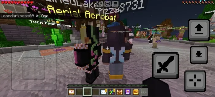 3D Player Skin Addon screenshot