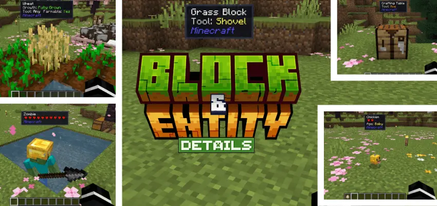 Block &amp; Entity Details Mod / Addon screenshot 1