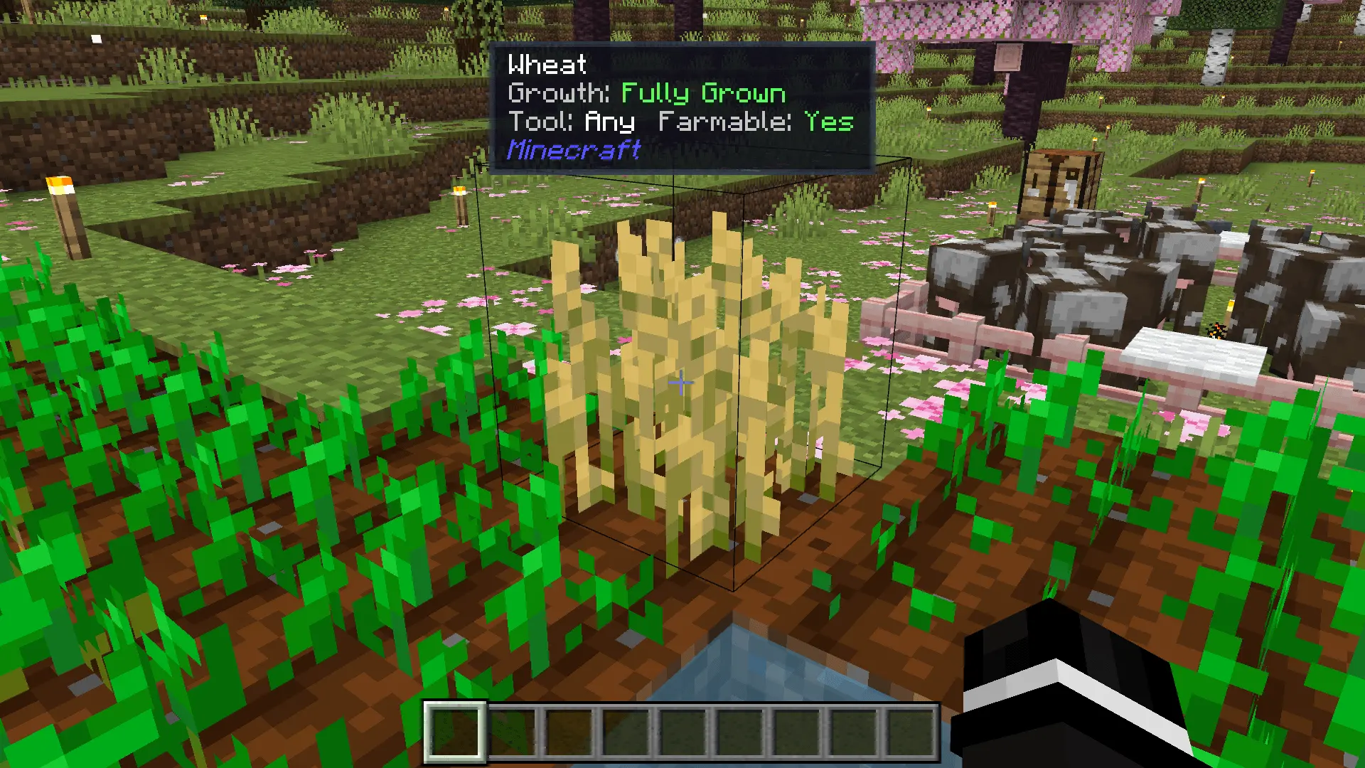 Block &amp; Entity Details Mod / Addon screenshot 2
