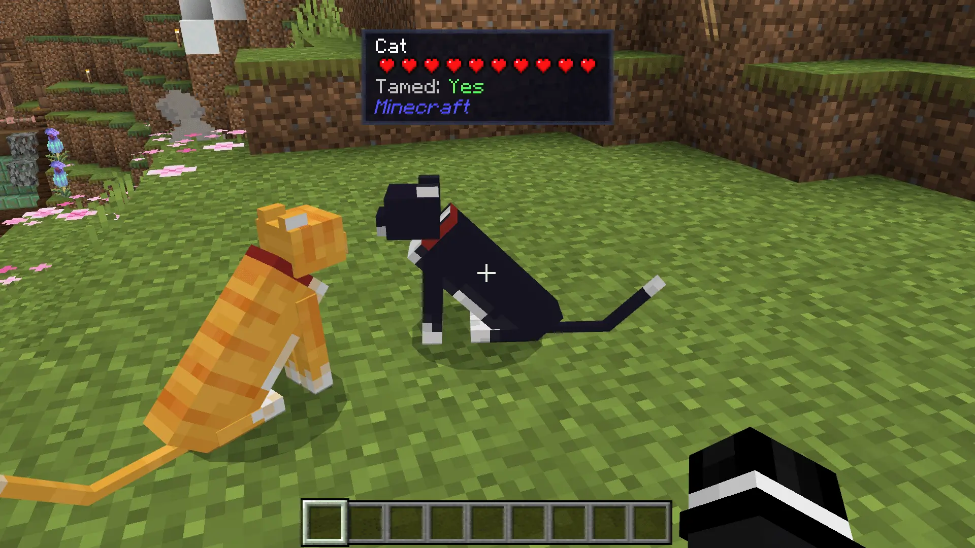 Block &amp; Entity Details Mod / Addon screenshot 3