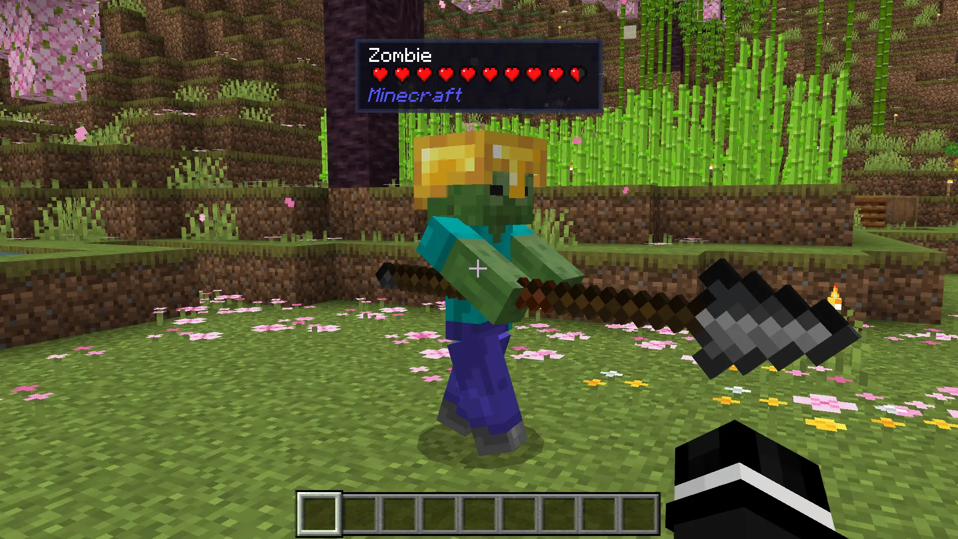 Block &amp; Entity Details Mod / Addon screenshot 4