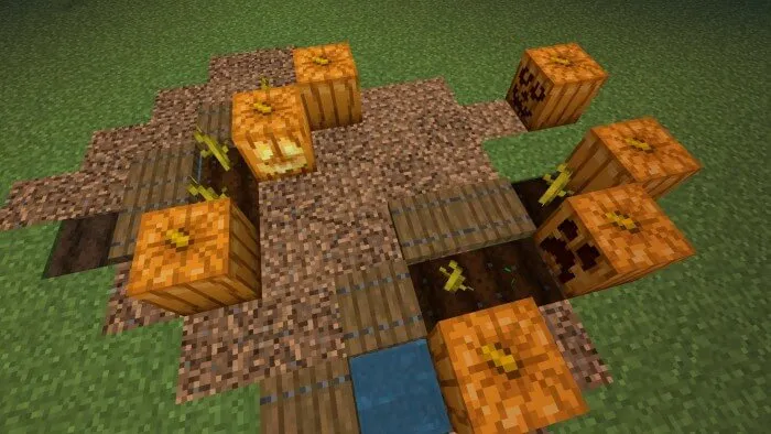 Better Pumpkins || Pumpkins Variations Addon screenshot